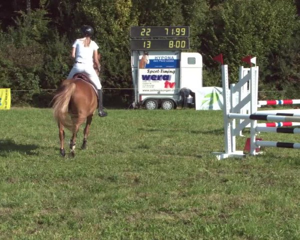 Concours Olsberg 2021