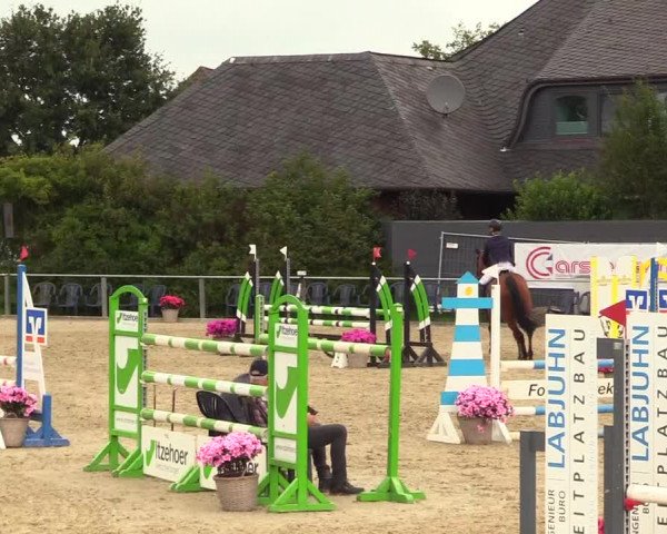 Reitturnier Behrendorf 2023