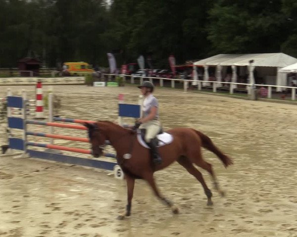 Reitturnier Vellinghausen 2023