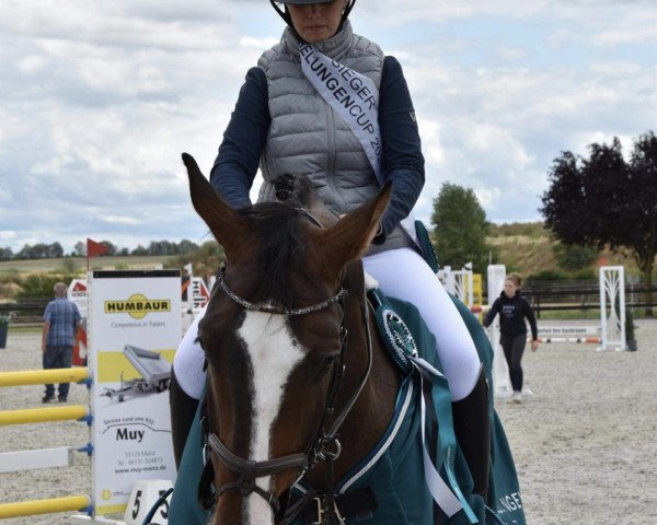 Springpferd Karan VA (Holsteiner, 2015, von Kannan)