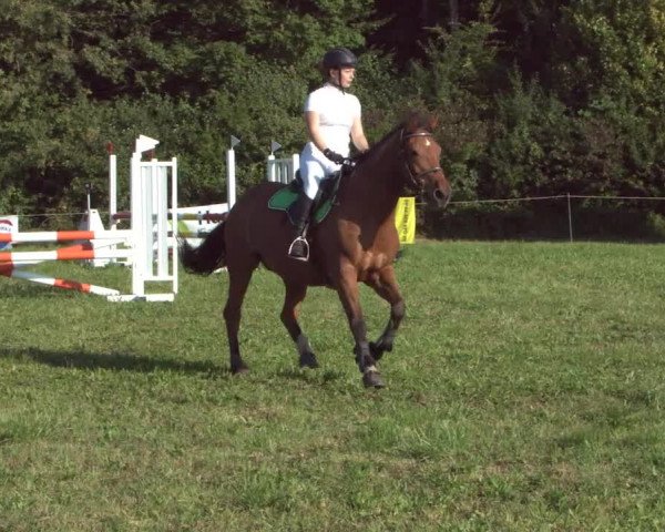 Concours Olsberg 2021
