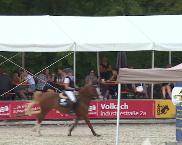 Reitturnier Grafenrheinfeld 2023
