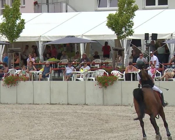 Reitturnier Grafenrheinfeld 2023