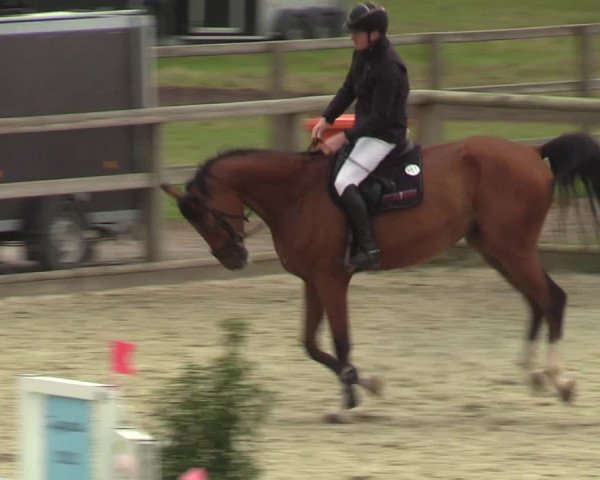 Reitturnier Münster-Amelsbüren 2023