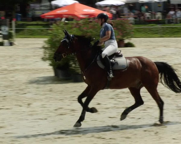 Reitturnier Oberderdingen 2023
