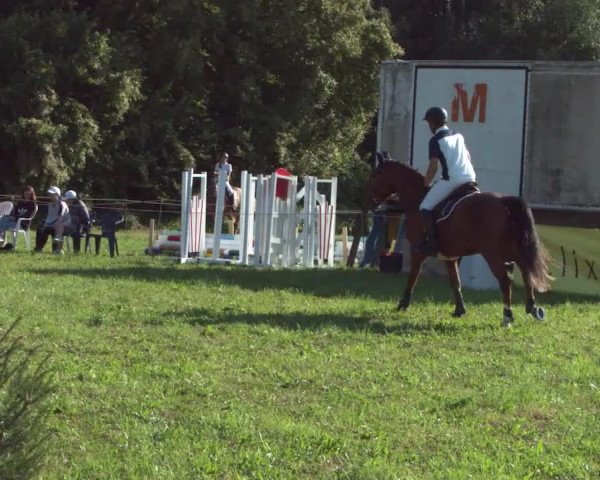 Concours Olsberg 2021