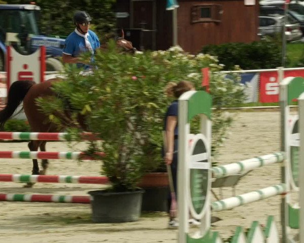 Reitturnier Oberderdingen 2023