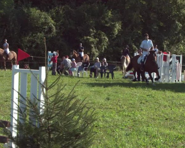 Concours Olsberg 2021