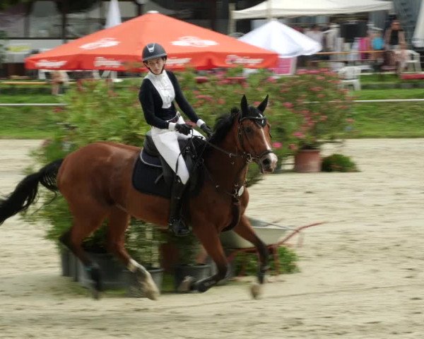 Reitturnier Oberderdingen 2023