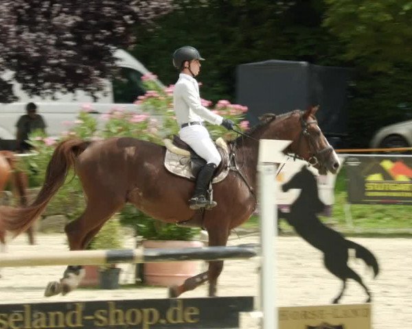 Reitturnier Oberderdingen 2023