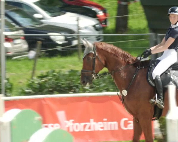 Reitturnier Oberderdingen 2023
