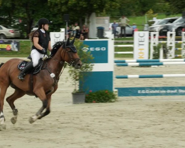 Reitturnier Oberderdingen 2023