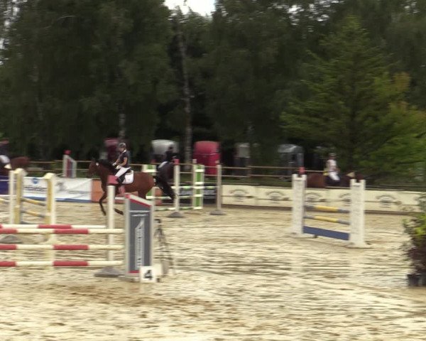 Reitturnier Vellinghausen 2023