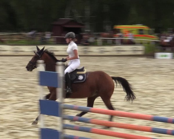 Reitturnier Vellinghausen 2023