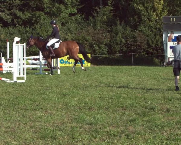 Concours Olsberg 2021