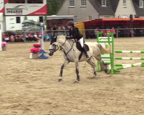 Reitturnier Behrendorf 2023