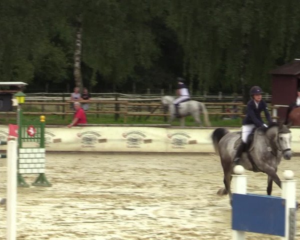 Reitturnier Vellinghausen 2023