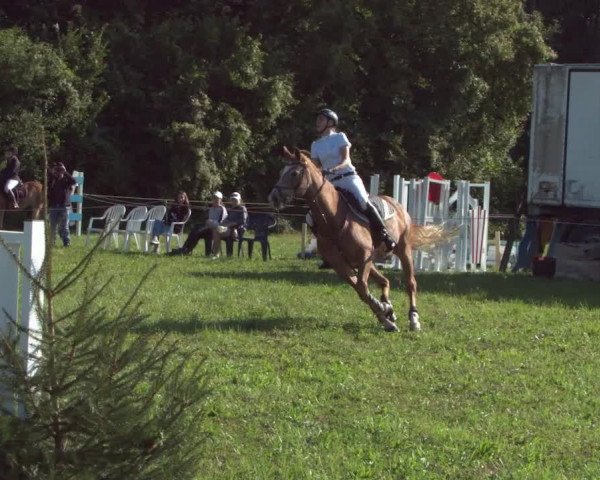 Concours Olsberg 2021
