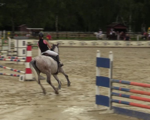 Reitturnier Vellinghausen 2023