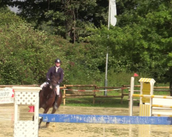 Reitturnier Vellinghausen 2023