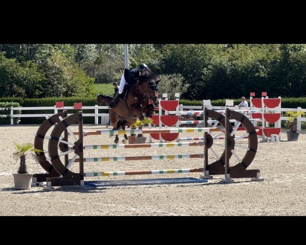 jumper Larissa 850 (Württemberger, 2012, from Lyjanero)