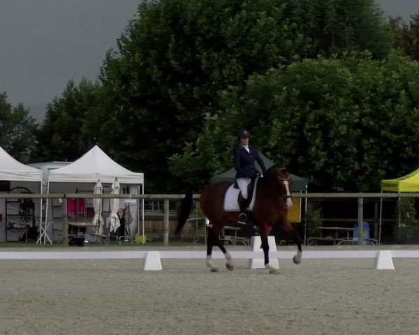 Reitturnier Dompierre 2023