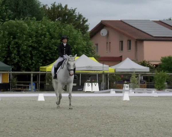 Reitturnier Dompierre 2023