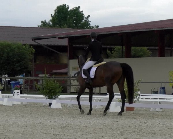 Reitturnier Dompierre 2023