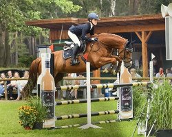 jumper Hurby D (KWPN (Royal Dutch Sporthorse), 2012, from Charisma)