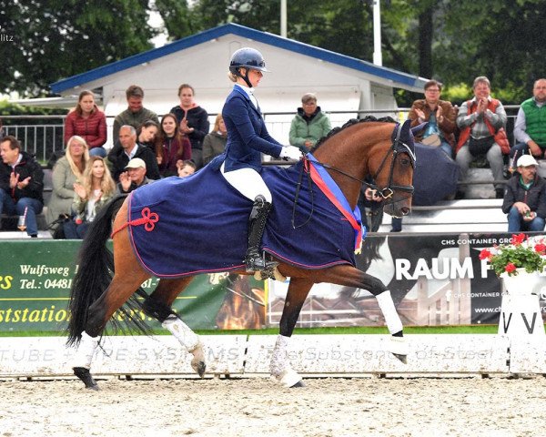 broodmare Viva Diamond OLD (Oldenburg, 2020, from Vitalis)