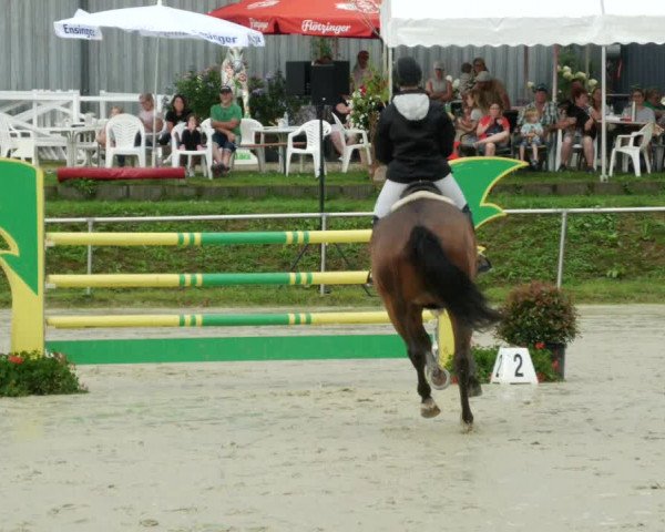 Reitturnier Oberderdingen 2023