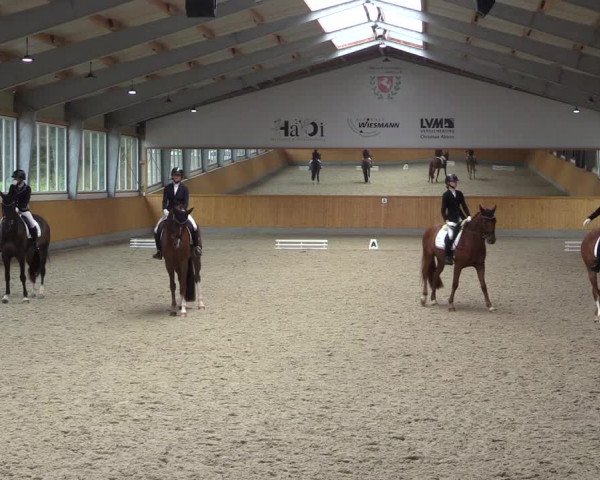 Reitturnier Münster-Amelsbüren 2023