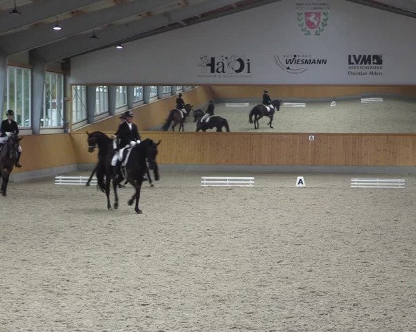 Reitturnier Münster-Amelsbüren 2023