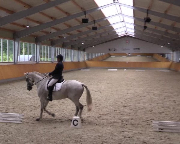Reitturnier Münster-Amelsbüren 2023