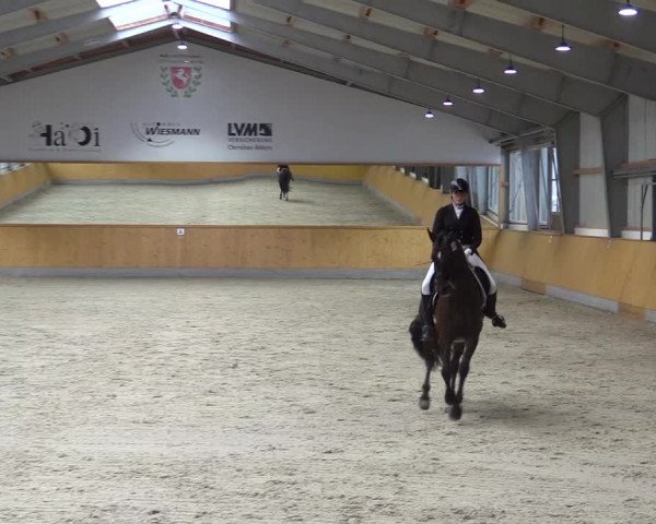Reitturnier Münster-Amelsbüren 2023