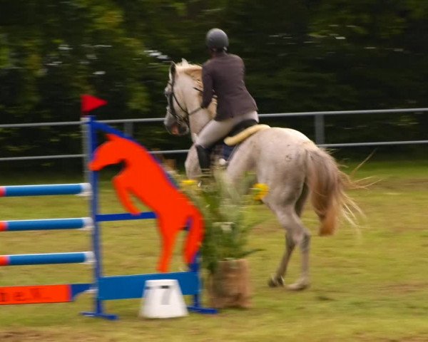 Reitturnier Woldegk 2023