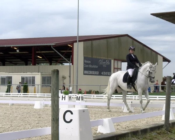 Reitturnier Dompierre 2023