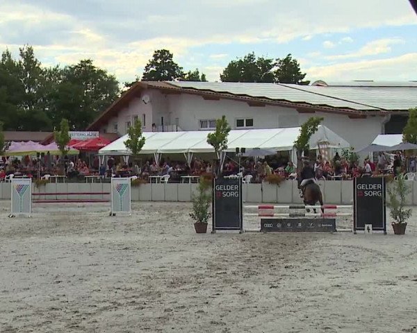 Reitturnier Grafenrheinfeld 2023
