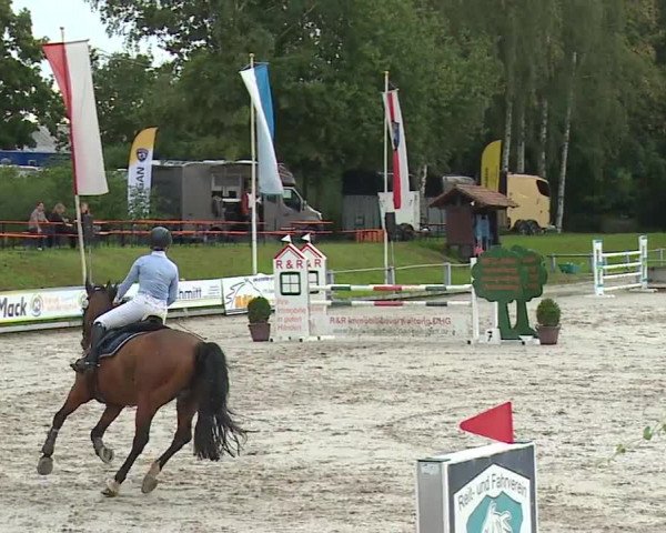 Reitturnier Grafenrheinfeld 2023