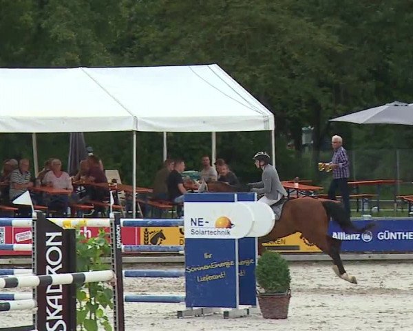 Reitturnier Grafenrheinfeld 2023