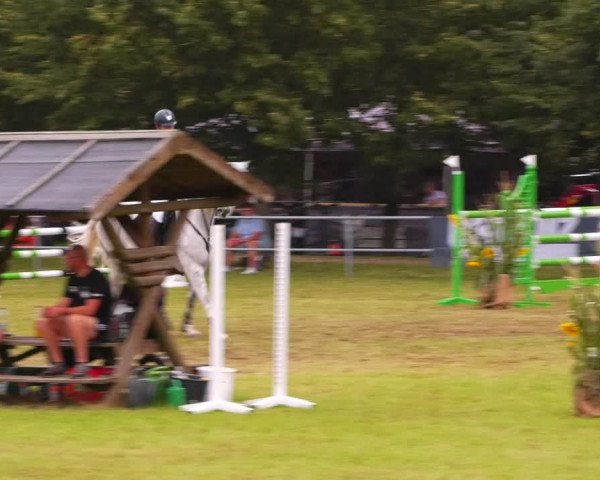 Reitturnier Woldegk 2023