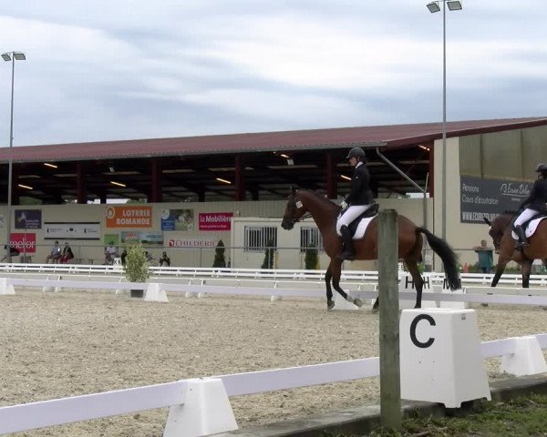 Reitturnier Dompierre 2023