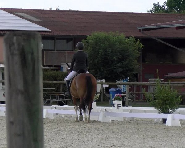 Reitturnier Dompierre 2023