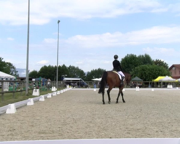 Reitturnier Dompierre 2023