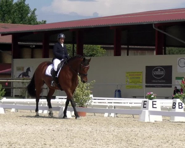 Reitturnier Dompierre 2023
