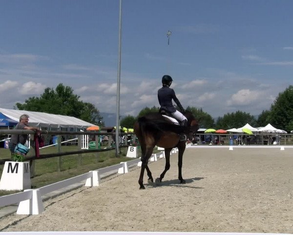 Reitturnier Dompierre 2023