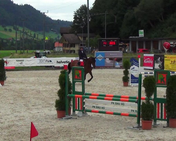 Reitturnier Schüpfheim 2023