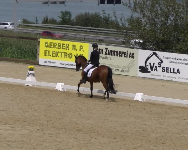 Reitturnier Wädenswil 2023