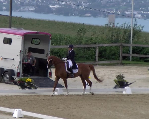 Reitturnier Wädenswil 2023