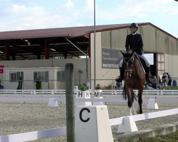 Reitturnier Dompierre 2023